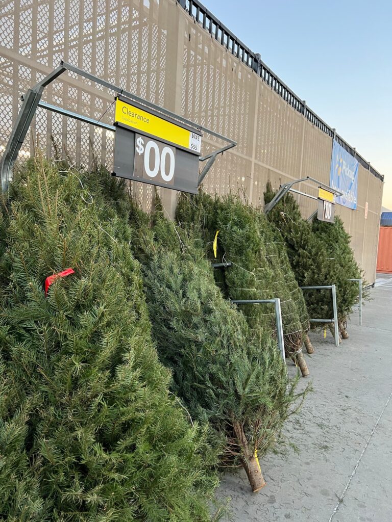 Walmart: Possible FREE Live Christmas Trees!