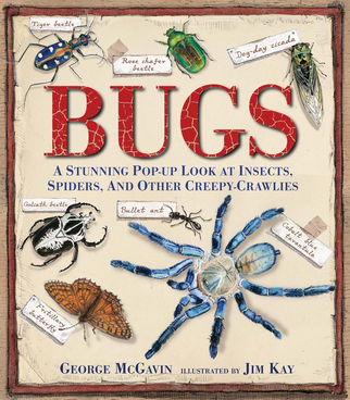 Bugs: A Stunning Pop-up Look at Insects, Spiders, and Other Creepy-Crawlies | Great book under $18!