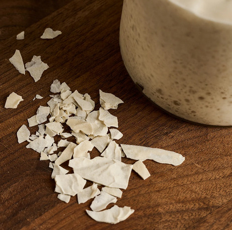 FREE Dried Sourdough Starter (wait list)