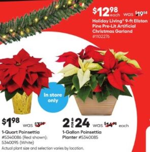 Poinsettias Lowe S Home Depot Black Friday Prices