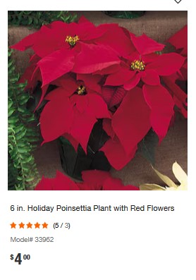 Home Depot Poinsettia Black Friday 2024