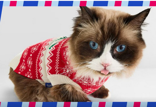 Chewy Black Friday: up to 50% off and $20 Gift Card with Cat Litter Purchase!