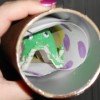 Preschool Project: Caterpillars into Butterflies
