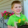 Preschool Project: Plant something!