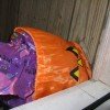 The Candy Fairy solved our problem of too much Halloween candy!