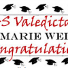 Custom Vinyl Banners (grad, wedding, birthday) – $1.00 today only!