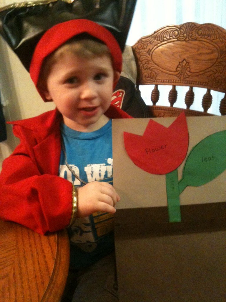 Preschool Project: Parts of a Plant