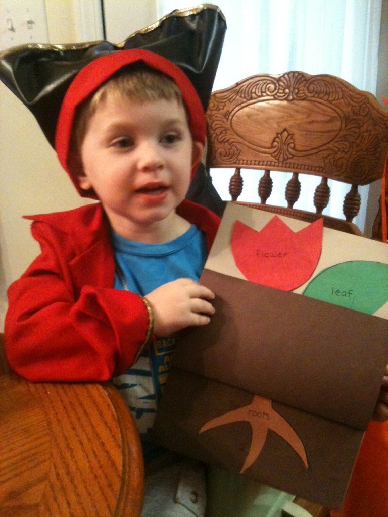 Preschool Project: Parts of a Plant